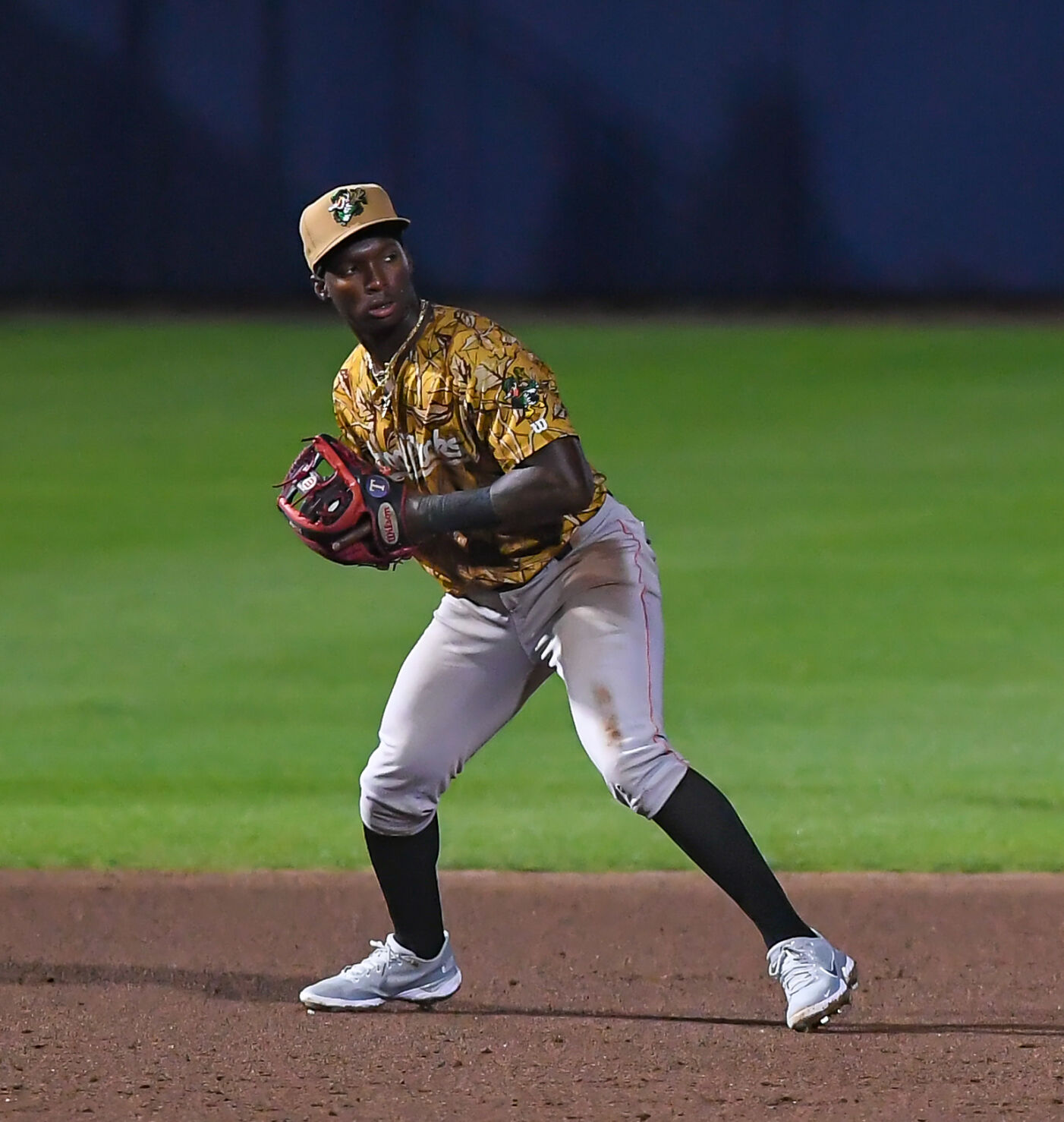 The Kannapolis Ballers lost their home opener 8-4 to the Wood Ducks.